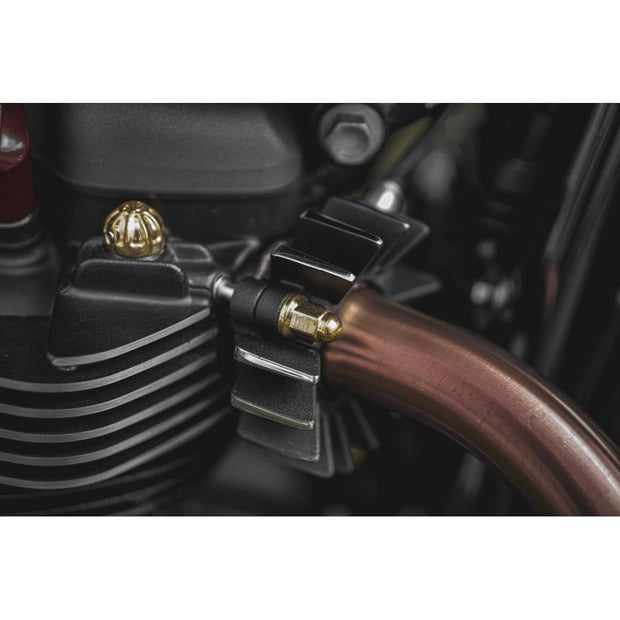 MOTONE MAGNUM FORCE EXHAUST CLAMP NUTS - BRASS